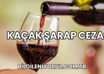 Kaçak Şarap Cezası