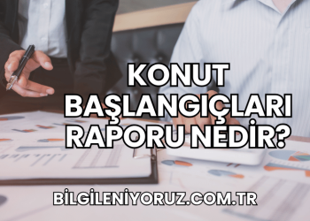 Konut Başlangıçları Raporu Nedir?