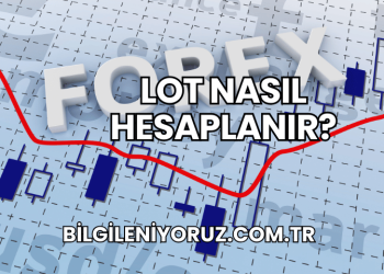 Lot Nasıl Hesaplanır?