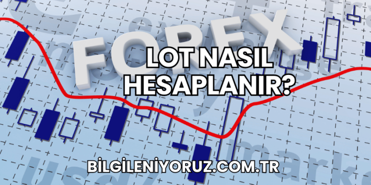 Lot Nasıl Hesaplanır?
