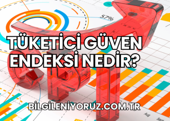 Tüketici Güven Endeksi Nedir?
