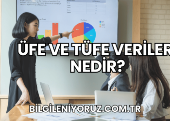 ÜFE ve TÜFE Verileri Nedir?