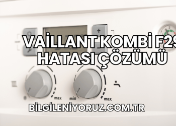 Vaillant Kombi F29 Hatası Çözümü