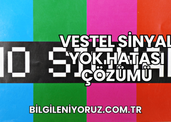 Vestel Sinyal Yok Hatası Çözümü
