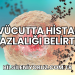 Vücutta Histamin Fazlalığı Belirtileri