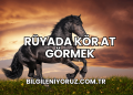Rüyada Kör At Görmek