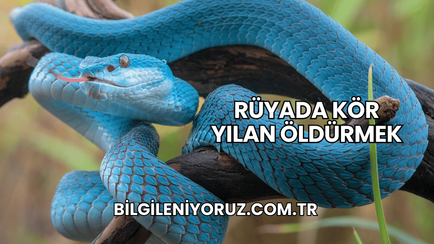 Rüyada Kör Yılan Öldürmek