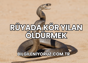 Rüyada Kör Yılan Öldürmek