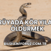 Rüyada Kör Yılan Öldürmek