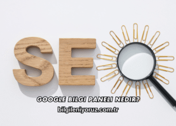 Google Bilgi Paneli Nedir