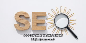 Google Bilgi Paneli Nedir